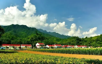 桃川镇农副产品加工厂项目