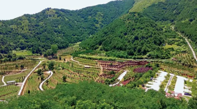 Report on Soil and Water Conservation Plan for Qinling Mountain and Water Landscape Community in Tai