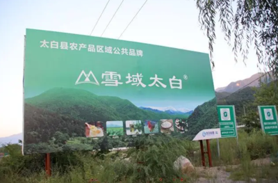 太白县桃川镇杨下村产品服务中心